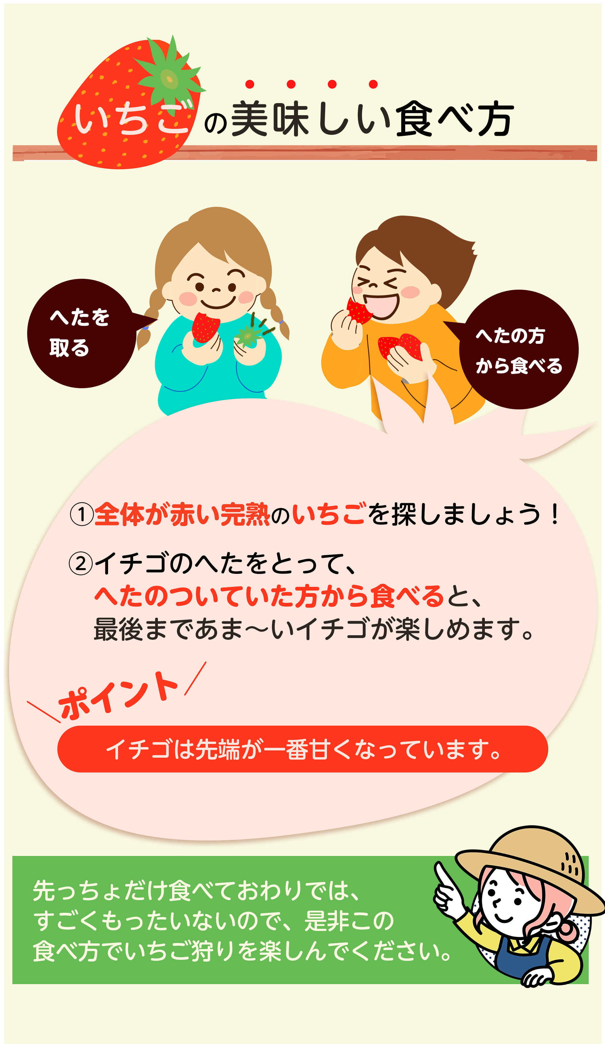 いちごの美味しい食べ方 ヘタの方から食べると最後まで甘いいちごを楽しめます