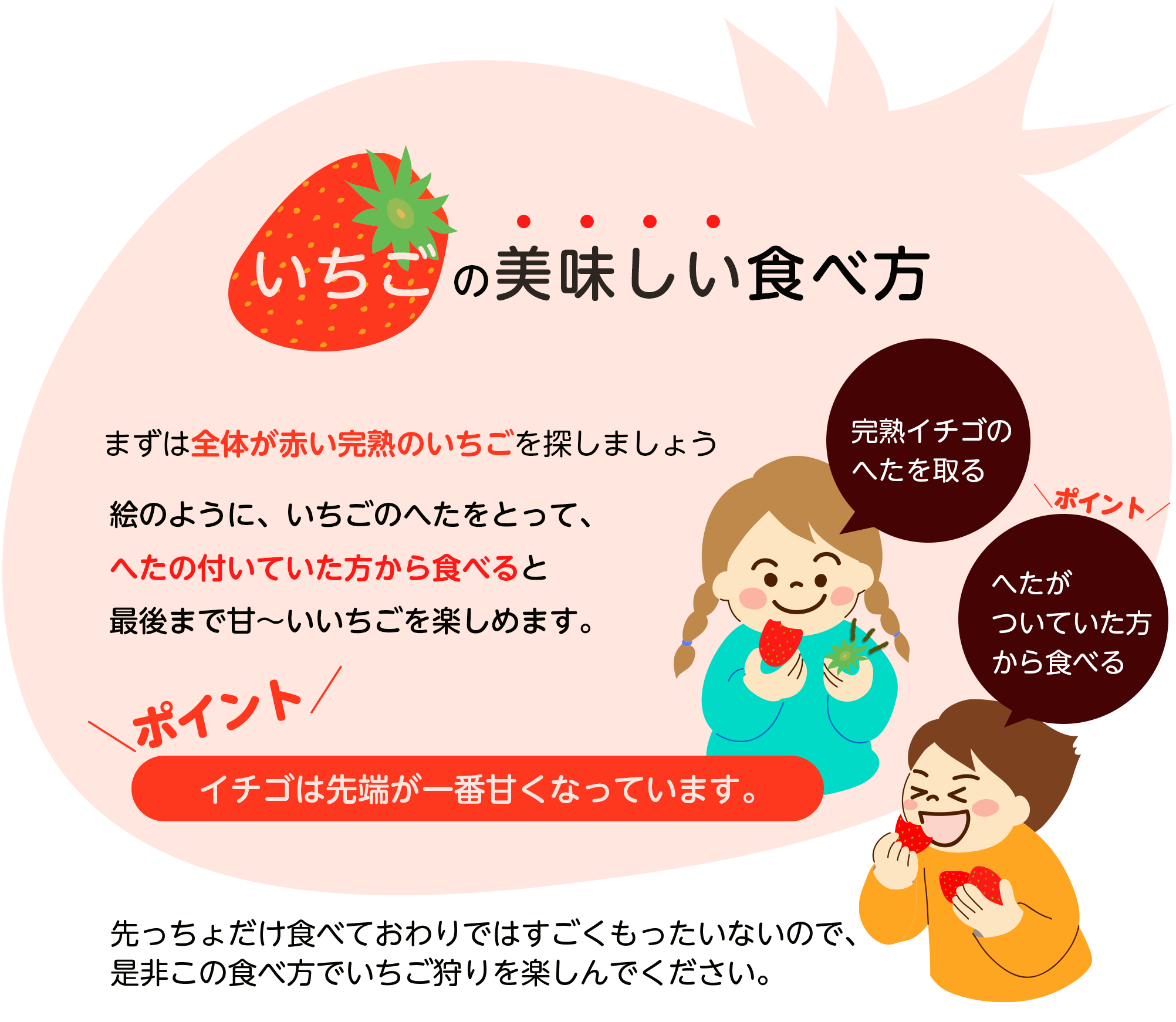 いちごの美味しい食べ方 ヘタの方から食べると最後まで甘いいちごを楽しめます