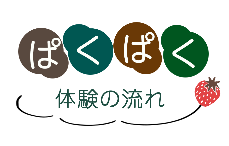 いちご狩り体験の流れ