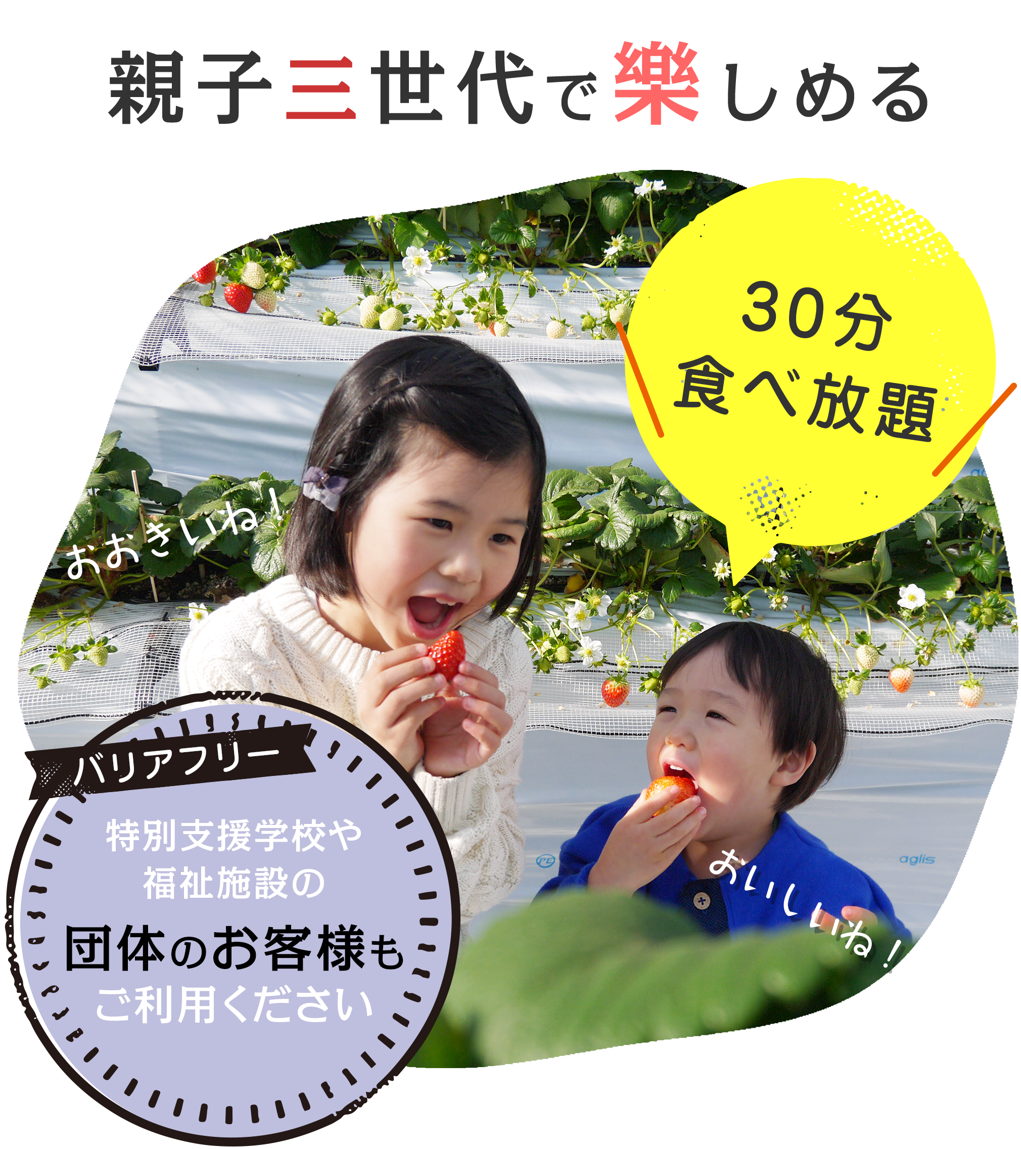 車いすでも楽しめる、親子で一緒に楽しめる