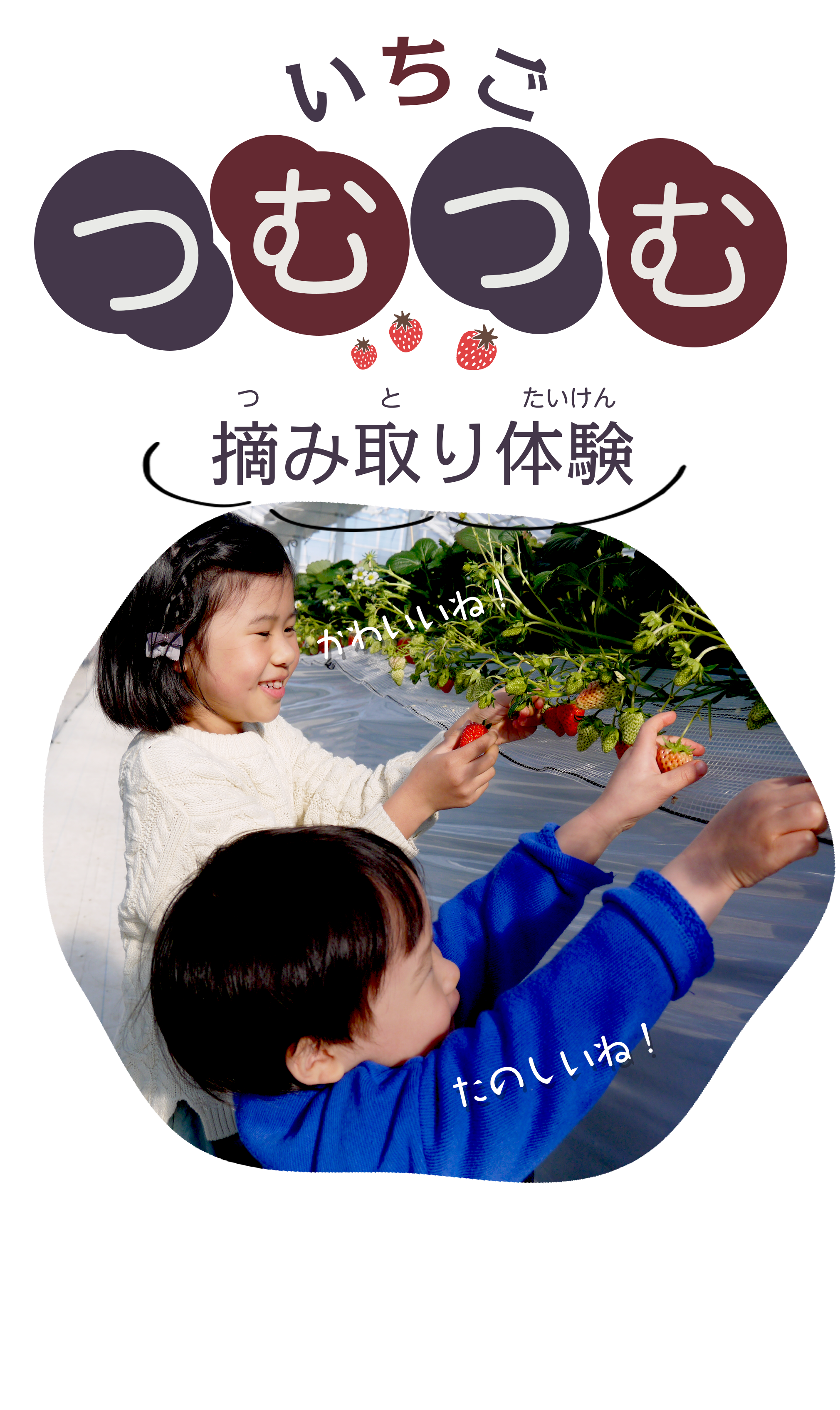 車いすでも楽しめる、親子で一緒に楽しめる
