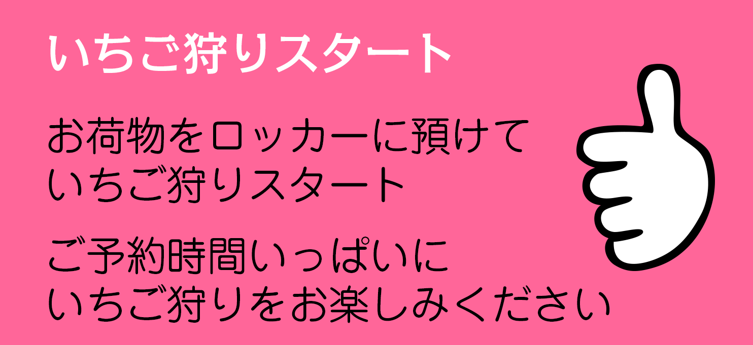 いちご狩りスタート