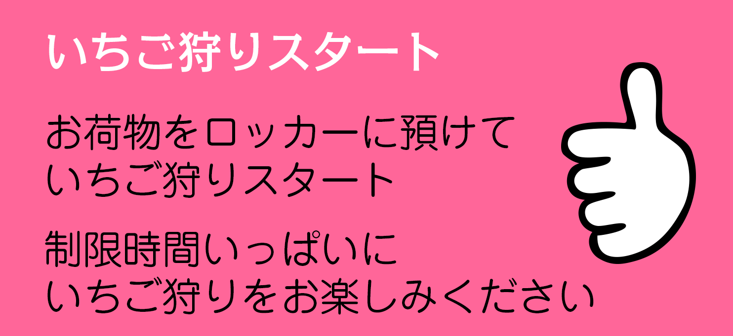いちご狩りスタート
