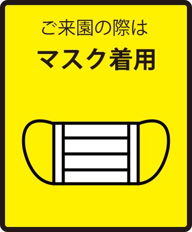 マスク着用