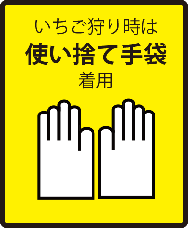 使い捨て手袋着用
