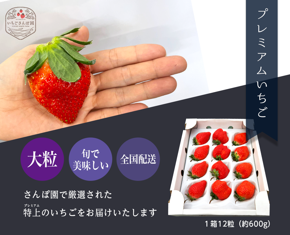 2024年度のギフト配送カミングスーン