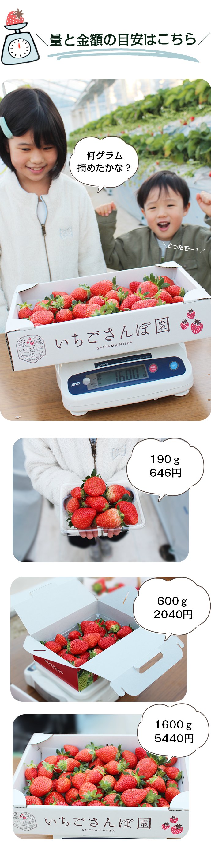 量のイメージ画像