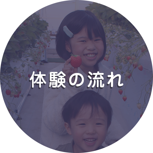 体験の流れ