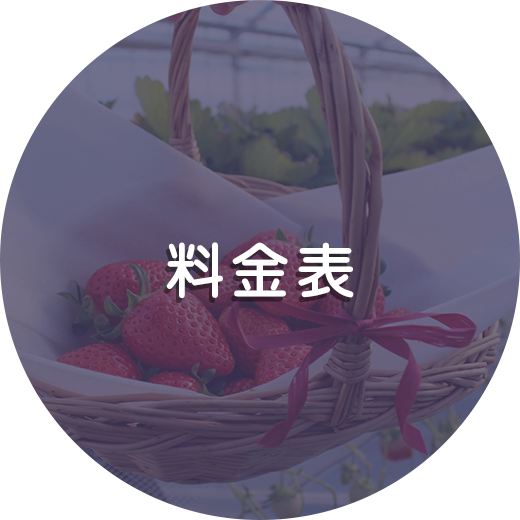 料金表