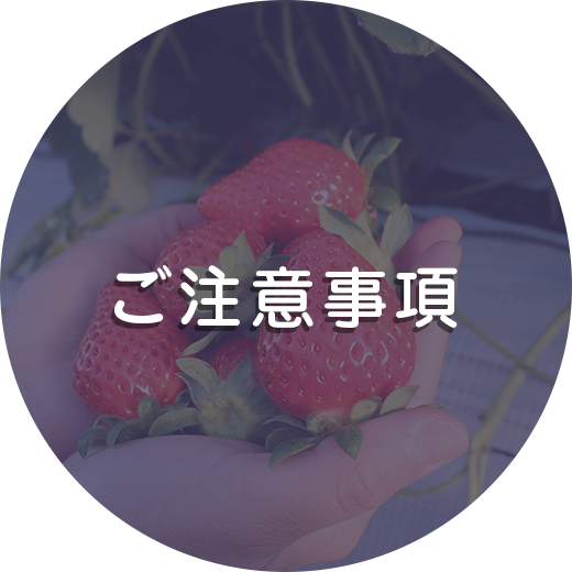 ご注意事項
