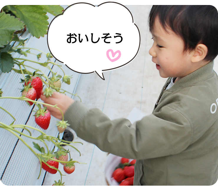つむつむ