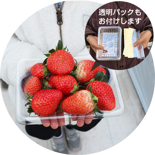 透明パックをお付けします