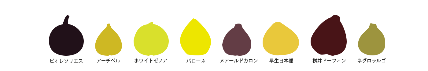 いちじくの大きさ比較表