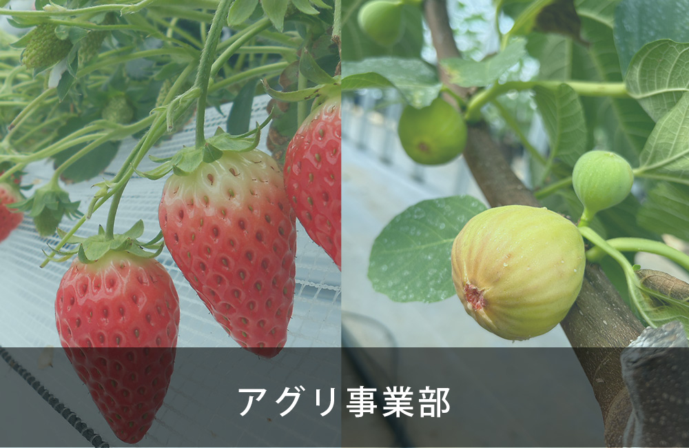 アグリ事業
