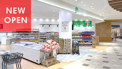 柏店イメージ画像