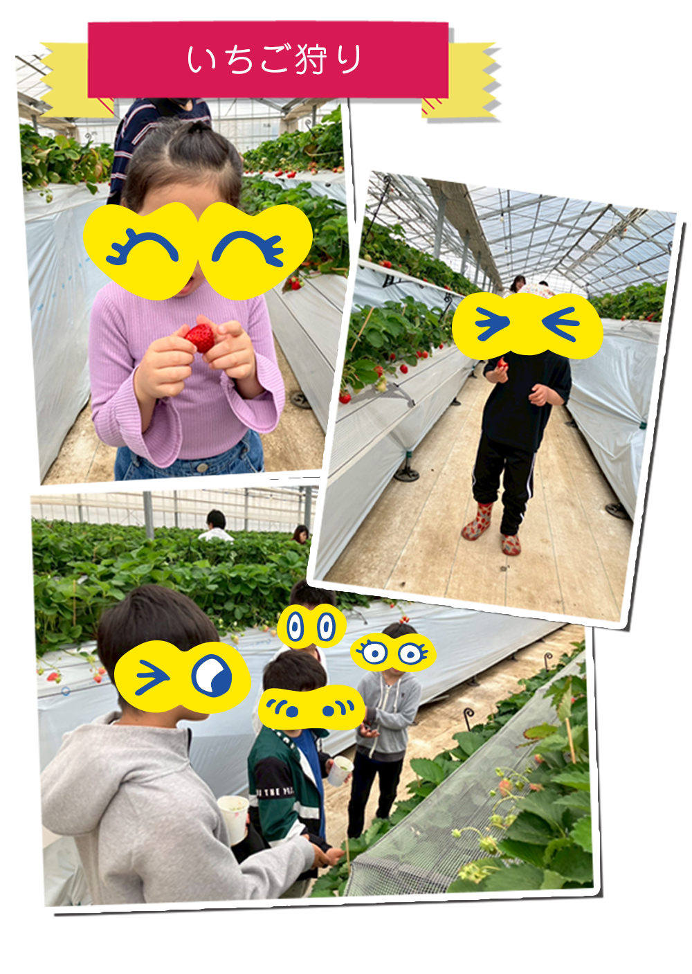 いちご狩りイベント写真