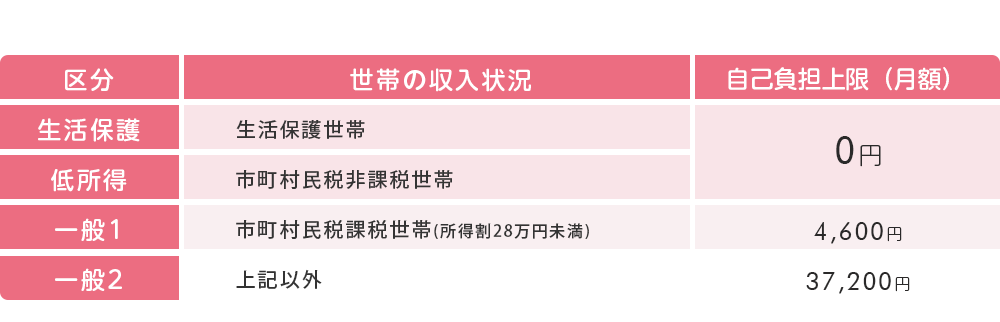 1か月の自己負担上限額